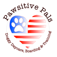 Image showcasing Social media reshapes pet adoption with viral reach